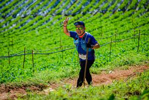 BIB: 
                            <button type="button" onclick="openModal(19163826)" class="btn btn-primary btn-sm float-right btn-popup" data-toggle="modal" data-target=".modal-high-quality">
                        <i class="fas fa-shopping-cart"></i> Add to Cart
                    </button>
                                            <button type="button" onclick="isThisMe(19163826, true)" class="btn btn-success btn-sm float-right btn-popup btn-isme hidden" data-toggle="tooltip" data-placement="bottom" title="นี่คือรูปของคุณใช่ไหม คลิกที่นี่เพื่อเอาเข้าอัลบั้ม">
                        <i class="fas fa-plus"></i> Add to album
                    </button>
                    <button type="button" onclick="isThisMe(19163826, false)" class="btn btn-warning btn-sm float-right btn-popup btn-isnotme hidden">
                        <i class="fas fa-ban"></i> Remove from album
                    </button>